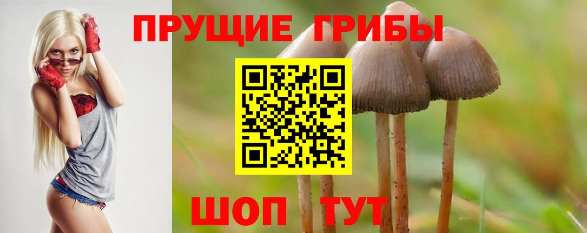 Галлюциногенные грибы MAGIC MUSHROOMS  Вход с VPN  Выкса 